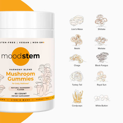 Harmony Blend – 10-in-1 Daily Mushroom Gummies for Focus, Immunity & Energy